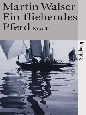 cover image of Ein fliehendes Pferd